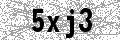 Check code: