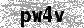 Check code: